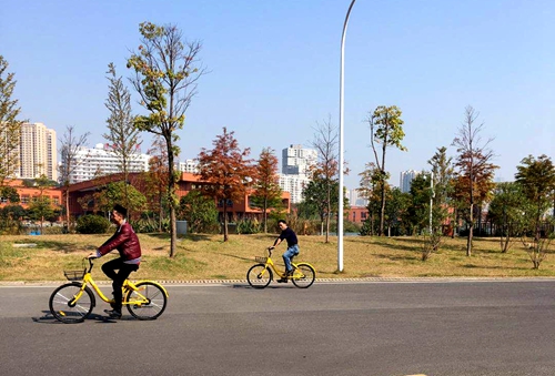 TIMͼƬ20171120134313.jpg TIMͼƬ20171120134313.jpg